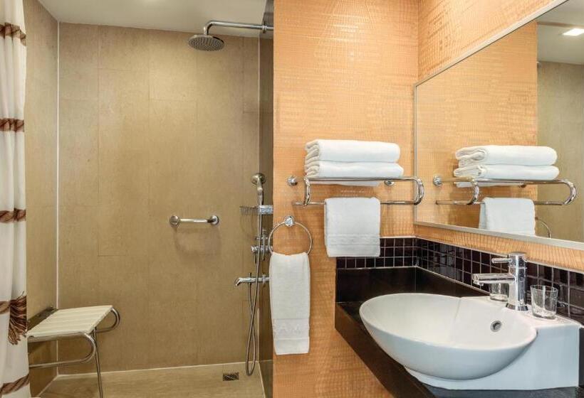 Quarto Standard para Deficientes, Ramada By Wyndham Ankara