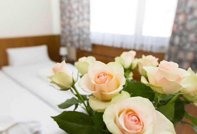 اتاق استاندارد, Spreewitz Am Kurfurstendamm