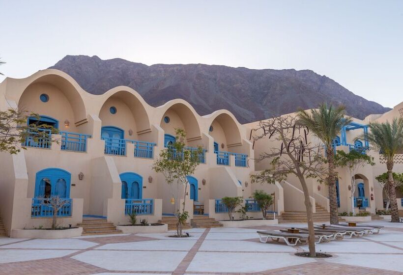 اتاق استاندارد, El Wekala Aqua Park Resort