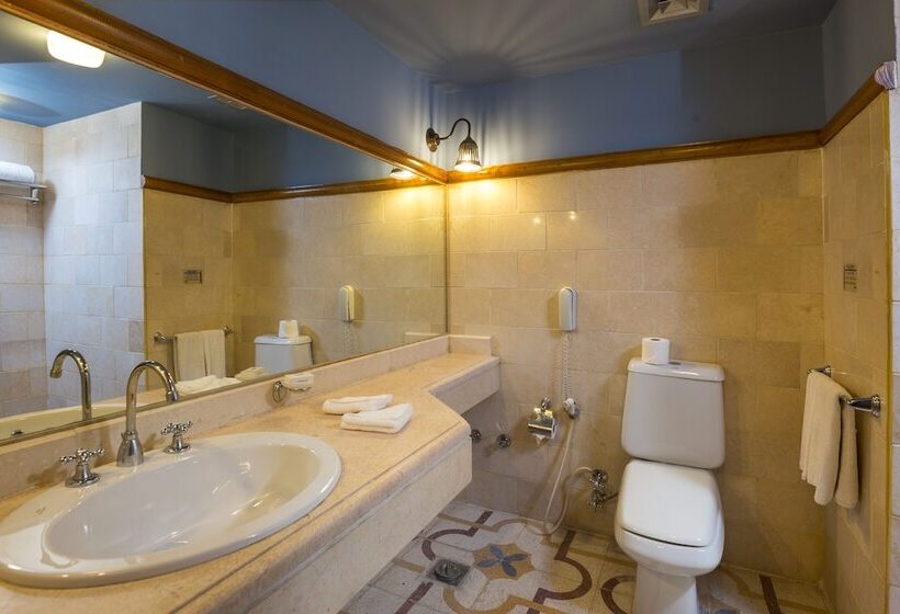 اتاق استاندارد با چشم‌انداز استخر, El Wekala Aqua Park Resort