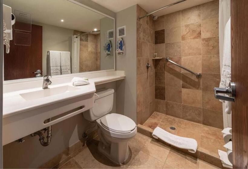 اتاق استاندارد با 2 تخت دوبل, City Express by Marriott Chihuahua