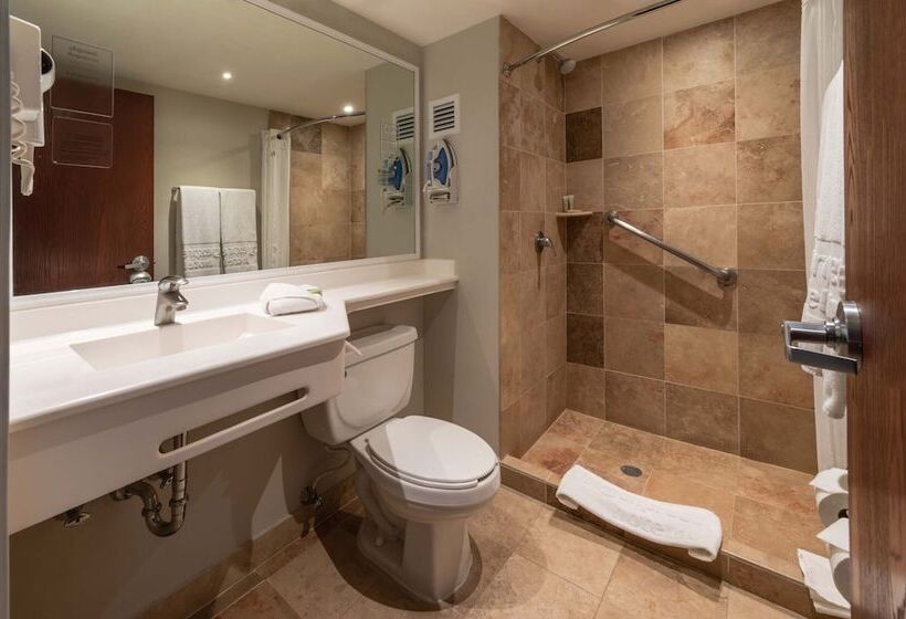 اتاق سوپریور, City Express by Marriott Chihuahua