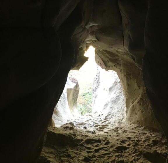 1침실 수피리어 빌라, Lodole B&b