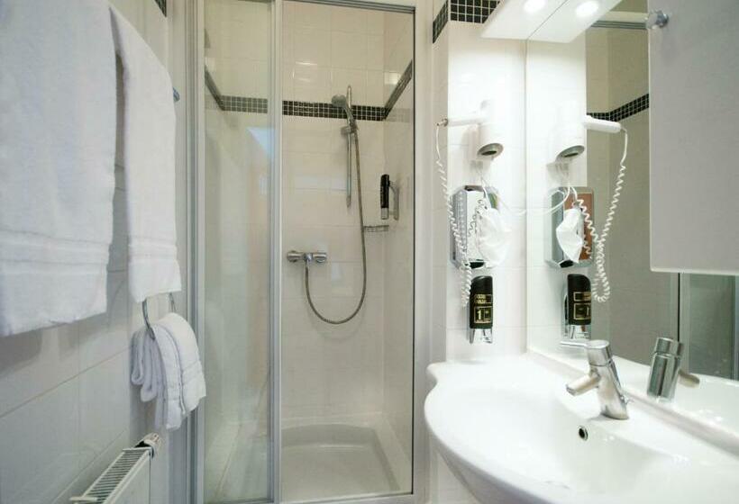 스탠다드 싱글 룸, Garten  Und Kunsthotel Gabriel City