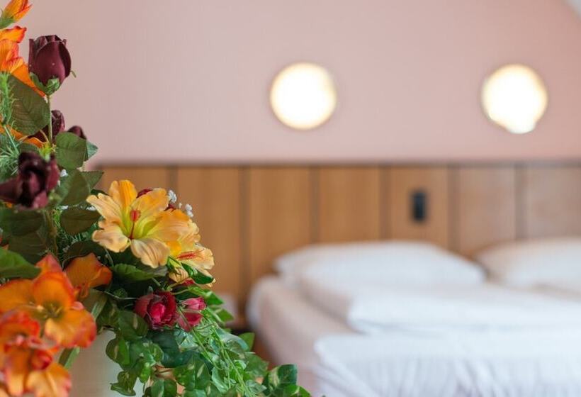 اتاق سوپریور, Garten  Und Kunsthotel Gabriel City