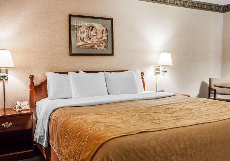 غرفة قياسية لذوى الاحتياجات الخاصة, Voco Paris   Porte De Clichy, An Ihg