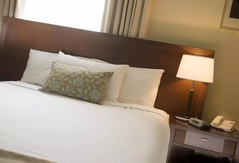 ２ベッドルームのエクゼクティブアパートメント, Launceston Central Apartment Hotel Official