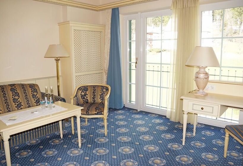 חדר סטנדרט, Alpenhotel Speckbacher Hof