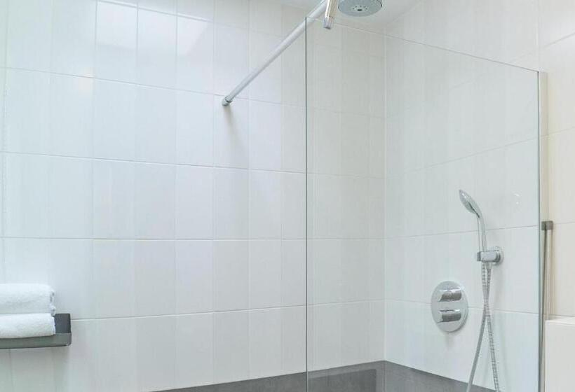 غرفة قياسية مزوَّدة بتراس, Alp De Veenen