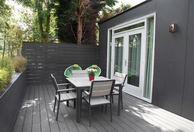 غرفة قياسية مزوَّدة بتراس, Alp De Veenen