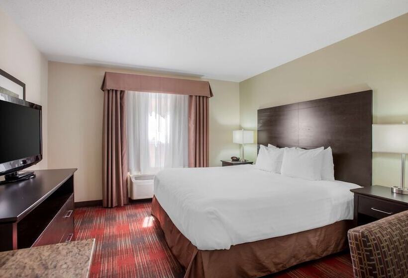 Lakosztály, Best Western Plus Red Deer Inn & Suite