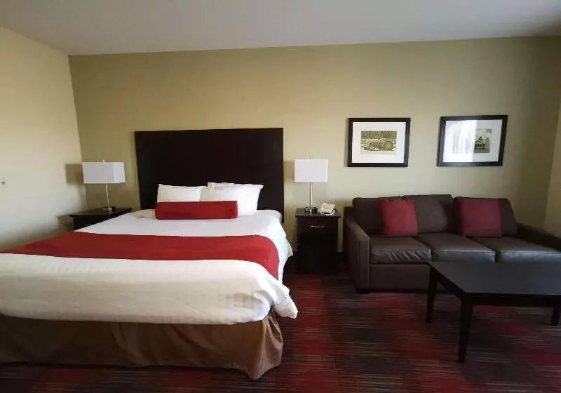 اتاق استاندارد با تخت بزرگ, Best Western Plus Red Deer Inn & Suite