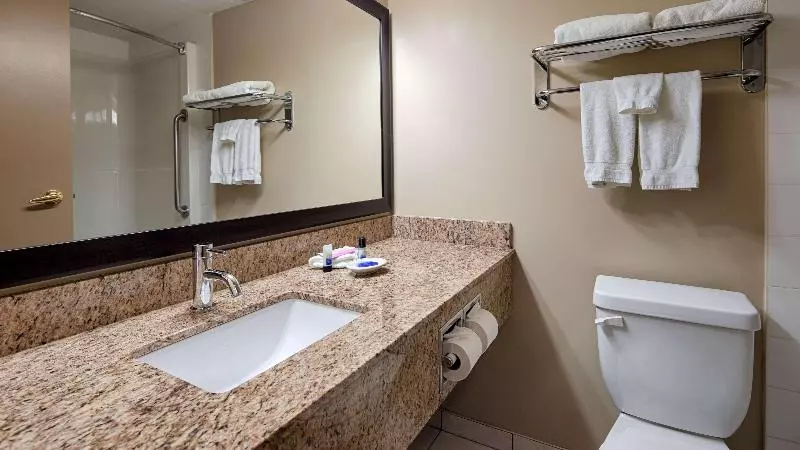 اتاق استاندارد با تخت بزرگ, Best Western Plus Red Deer Inn & Suite
