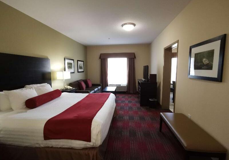 Standard Szoba King Size Bed, Best Western Plus Red Deer Inn & Suite