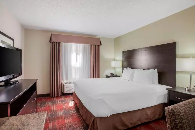 اتاق استاندارد با تخت بزرگ, Best Western Plus Red Deer Inn & Suite