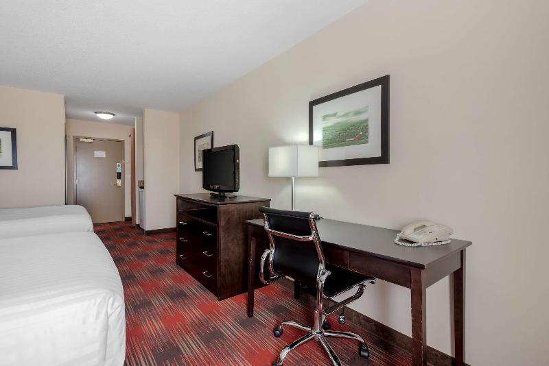 Standard Szoba King Size Bed, Best Western Plus Red Deer Inn & Suite