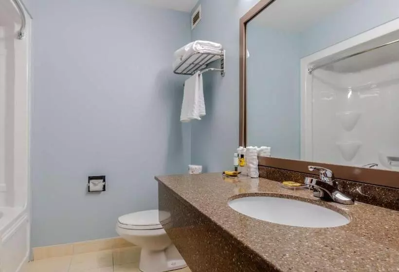 キングサイズベッドのスタンダードルーム, Best Western Plus Woodstock Hotel Conference Centre