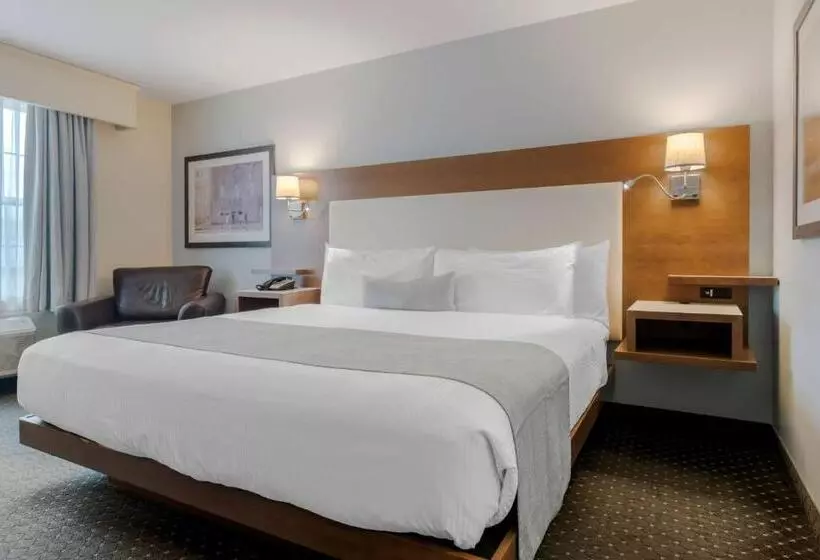 キングサイズベッドのスタンダードルーム, Best Western Plus Woodstock Hotel Conference Centre