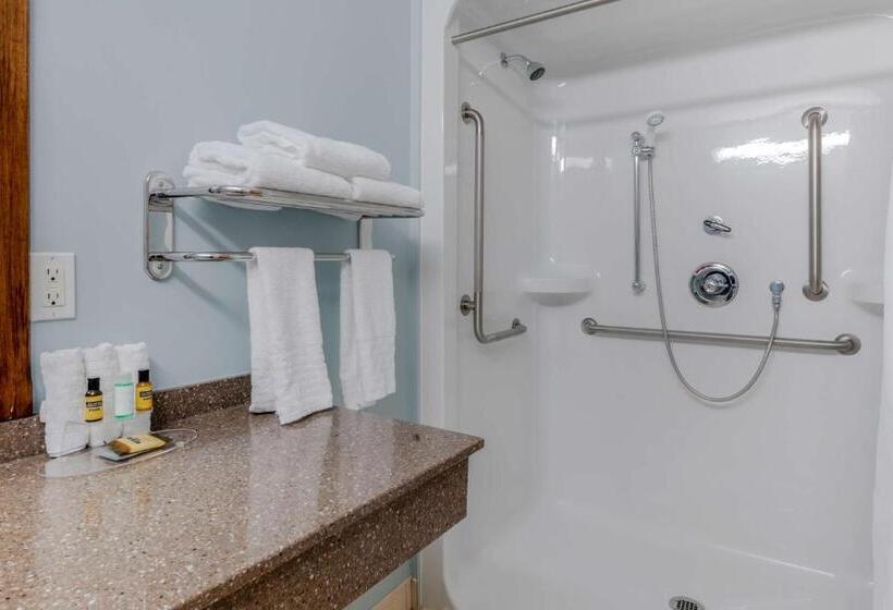 חדר סטנדרט מותאם לאדם עם מוגבלויות, Best Western Plus Woodstock Hotel Conference Centre