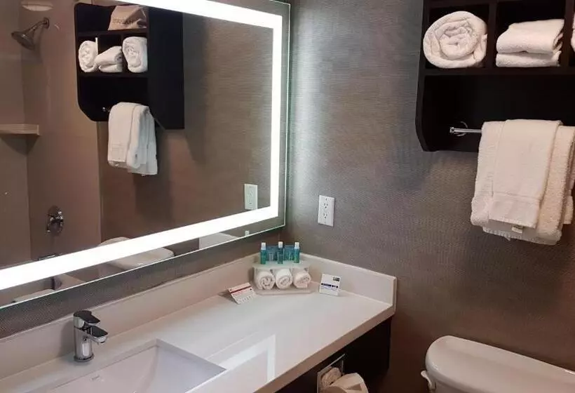 Standard-huone King-vuode, Holiday Inn Express Hotel & Suites Barrie, An Ihg