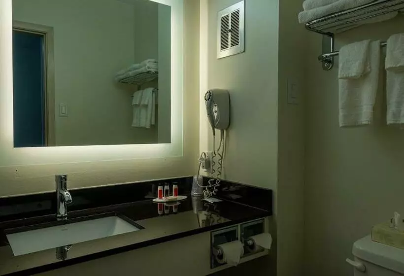 اتاق استاندارد, Motel 6 Sault Ste. Marie, On