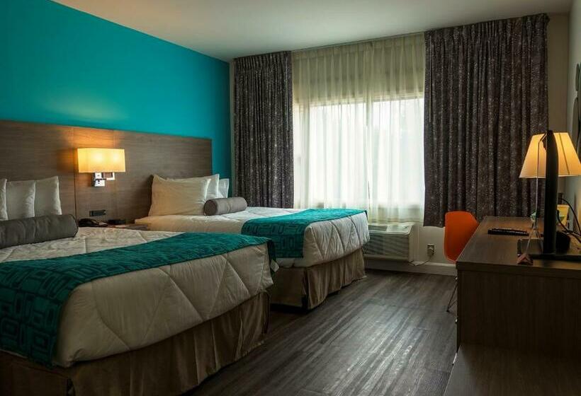 غرفة قياسية, Motel 6 Sault Ste. Marie, On