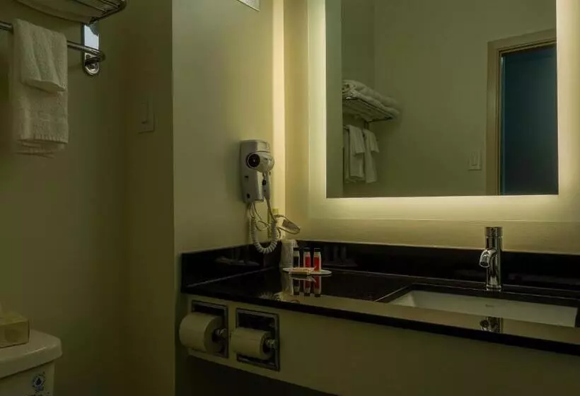 اتاق استاندارد با تخت بزرگ, Motel 6 Sault Ste. Marie, On
