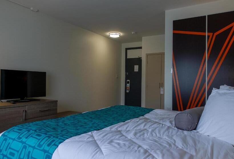 غرفة قياسية سرير كينج, Motel 6 Sault Ste. Marie, On