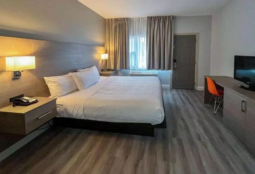 اتاق لوکس با تخت بزرگ, Motel 6 Sault Ste. Marie, On