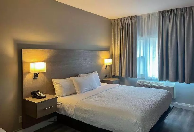 اتاق لوکس با تخت بزرگ, Motel 6 Sault Ste. Marie, On