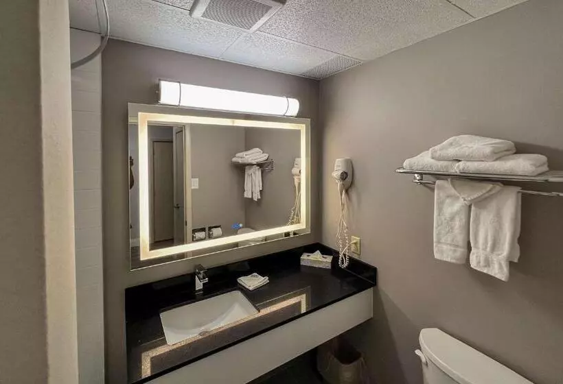 اتاق استاندارد, Motel 6 Sault Ste. Marie, On