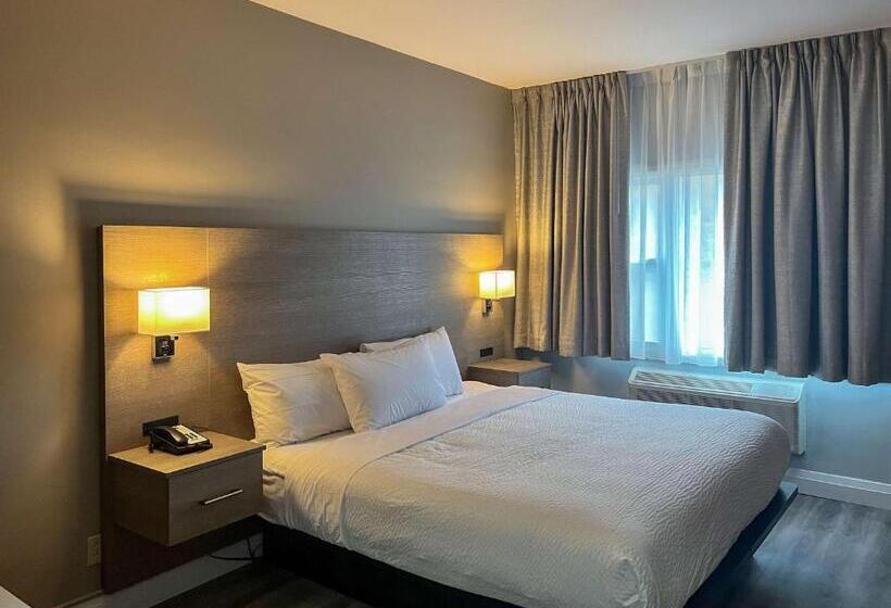 اتاق استاندارد با تخت بزرگ, Motel 6 Sault Ste. Marie, On