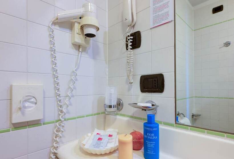 Пятиместный Стандартный Номер, Parc