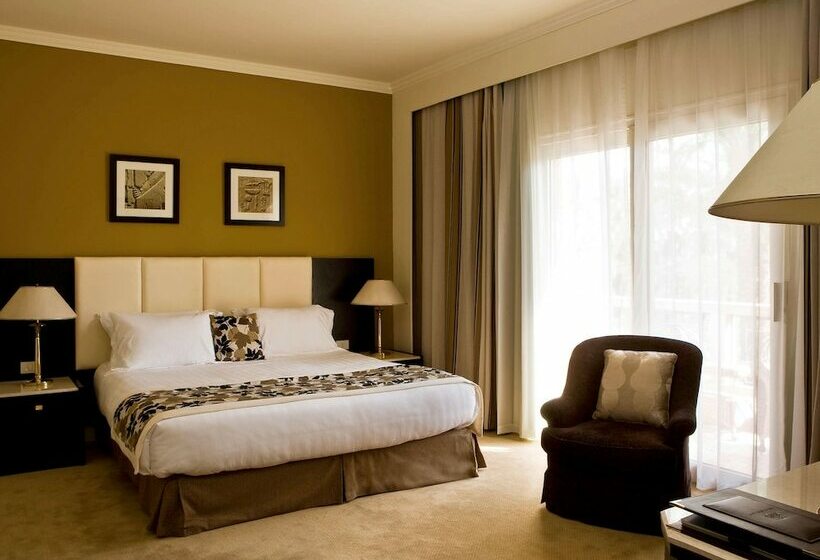 اتاق کلاسیک با تخت دوبل, Pavillon Winter Luxor