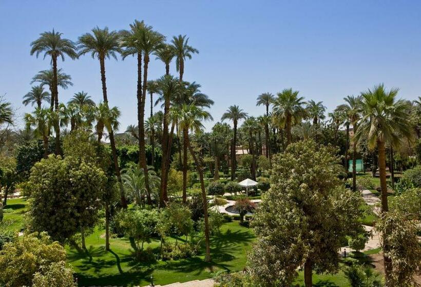 اتاق کلاسیک با چشم‌انداز باغ, Pavillon Winter Luxor