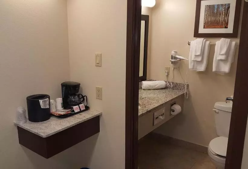 اتاق استاندارد, Quality Inn Airport