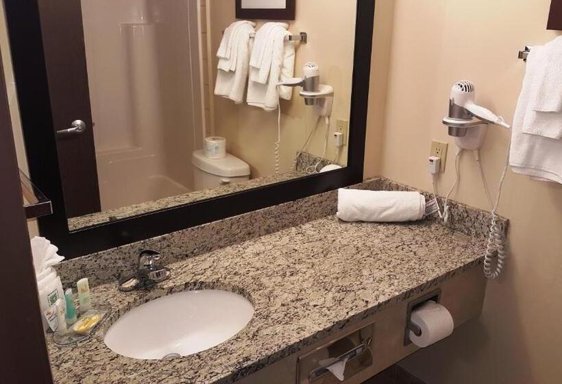 标准间, Quality Inn Airport