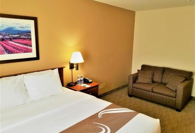 标准间, Quality Inn Airport