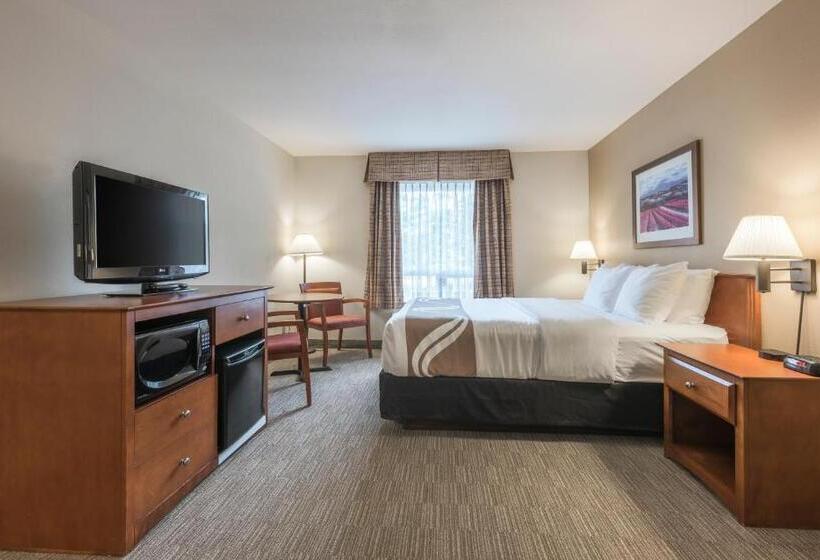 Номер Стандарт, Quality Inn Airport