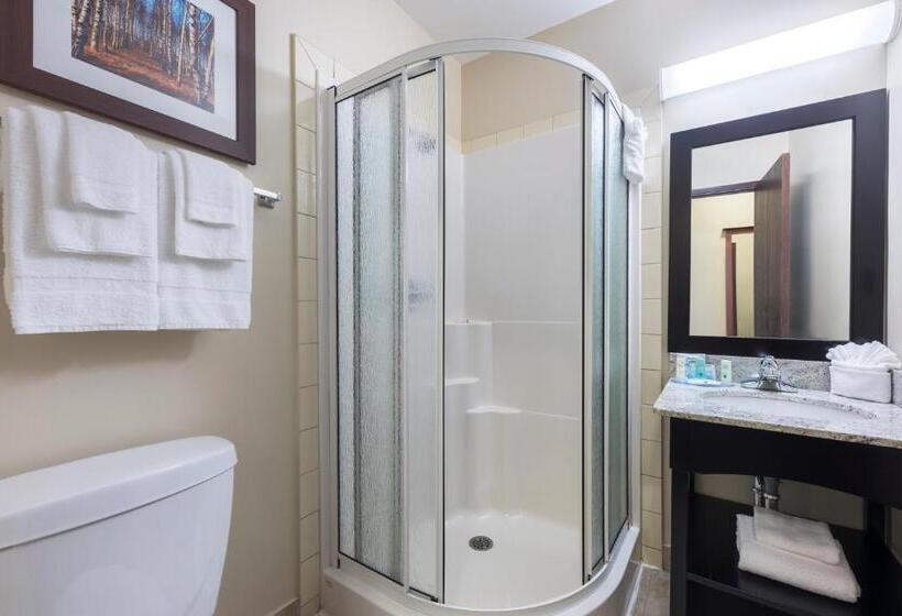 标准间带漩涡浴缸, Quality Inn Airport