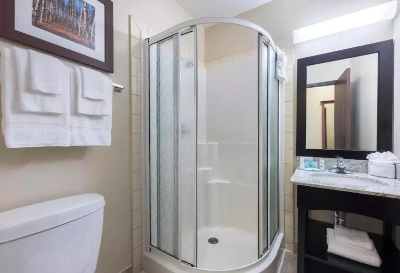 اتاق استاندارد با وان آب گرم, Quality Inn Airport