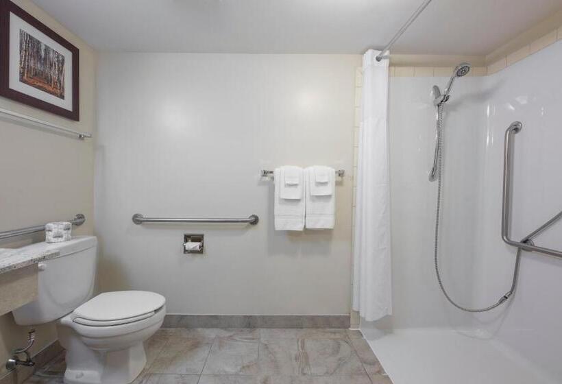 适合残疾人使用的标准间, Quality Inn Airport