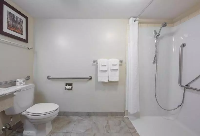 اتاق استاندارد برای معلولان, Quality Inn Airport