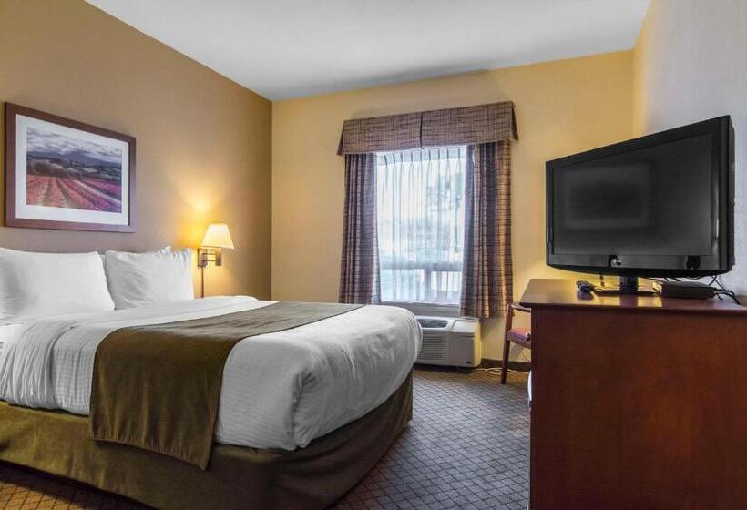 适合残疾人使用的标准间, Quality Inn Airport