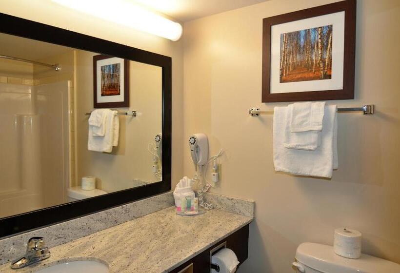 带大床的标准间, Quality Inn Airport