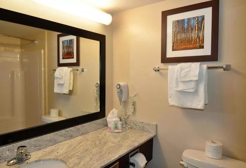 اتاق استاندارد با تخت بزرگ, Quality Inn Airport