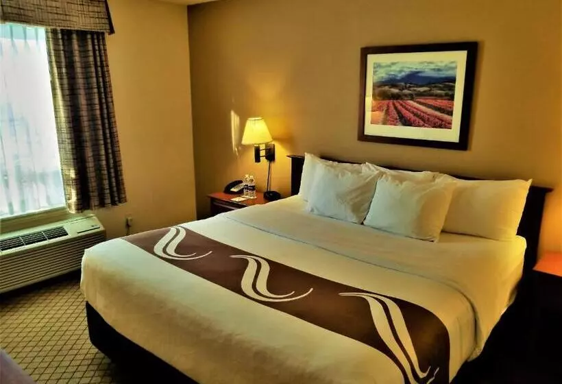 اتاق استاندارد با تخت بزرگ, Quality Inn Airport