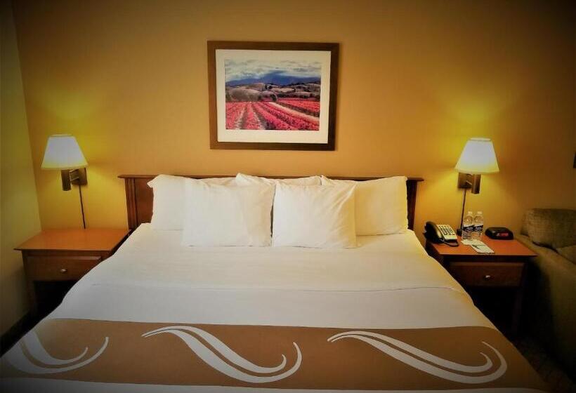 带大床的标准间, Quality Inn Airport