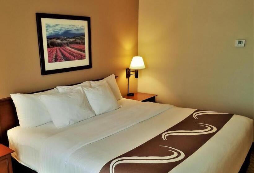 带大床的标准间, Quality Inn Airport