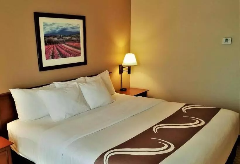 اتاق استاندارد با تخت بزرگ, Quality Inn Airport